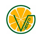 Logo Grupo Vidotti