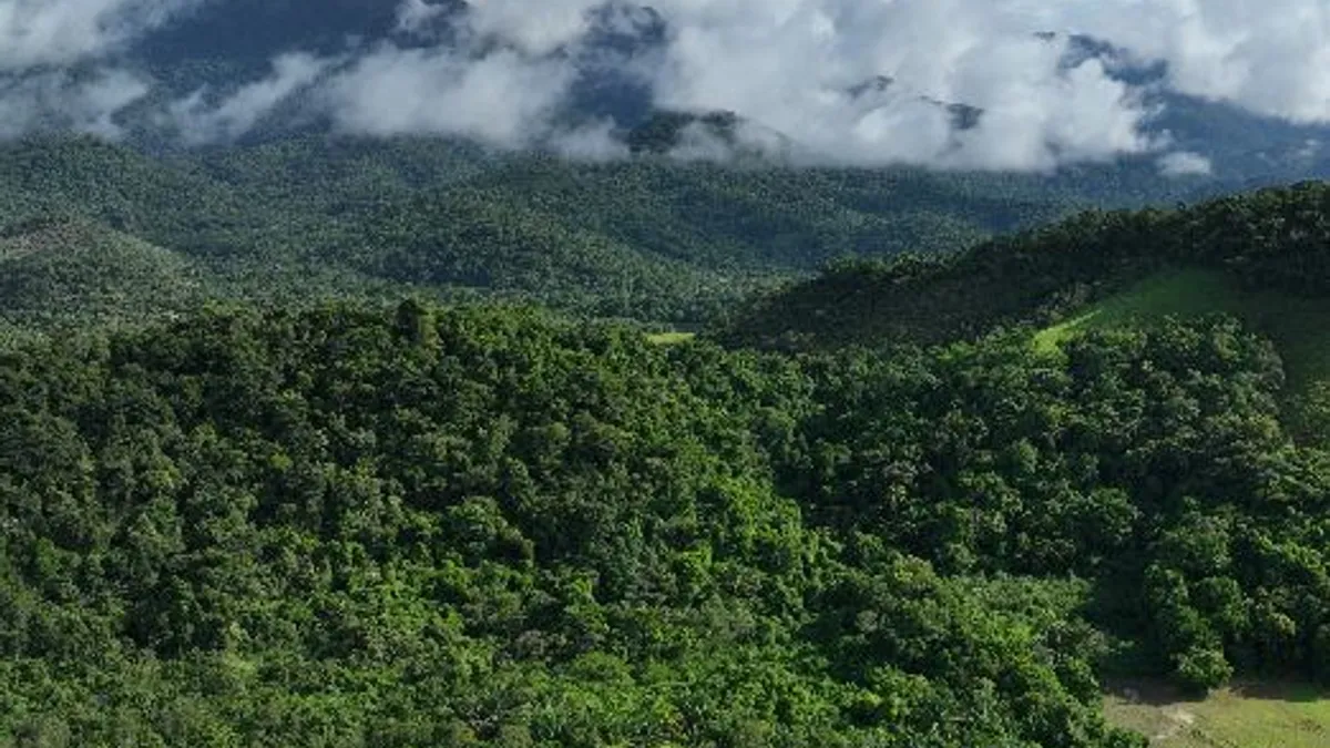 Desmatamento na Mata Atlântica atinge o menor nível histórico